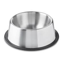 Dog Bowl